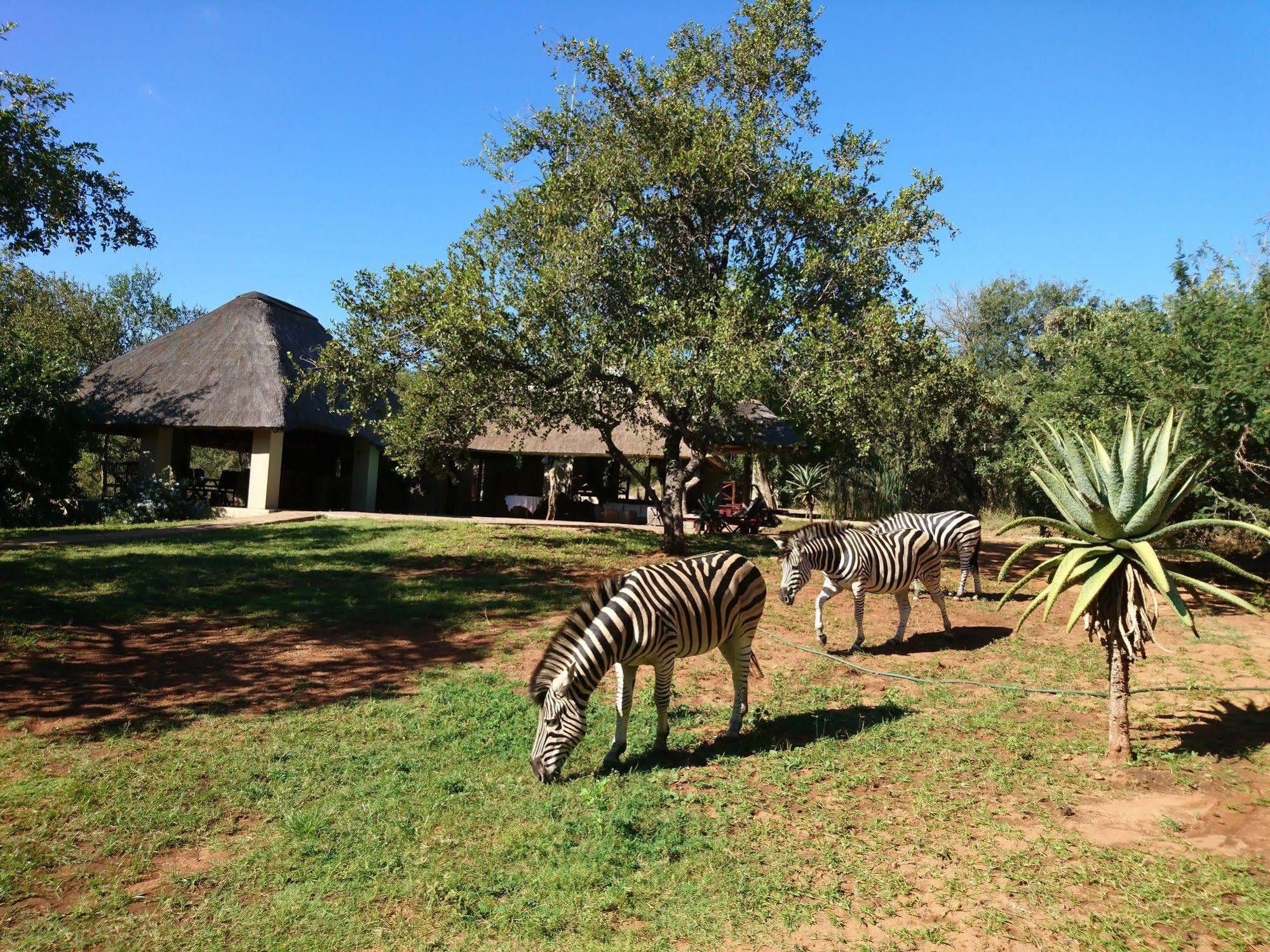 Royal Kruger Lodge Marloth Park Exterior foto